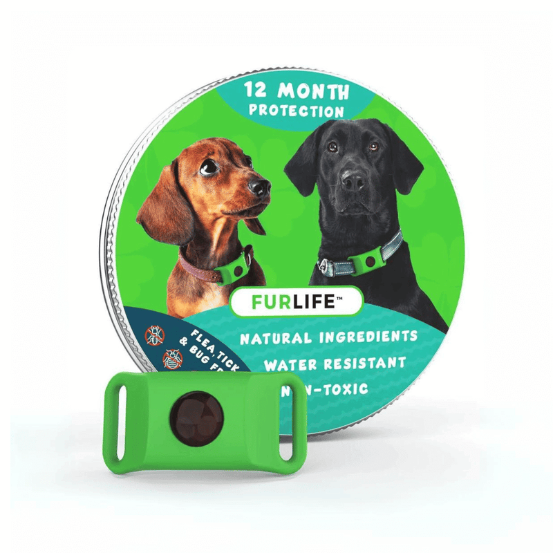 Anti Flea & Tick Tag