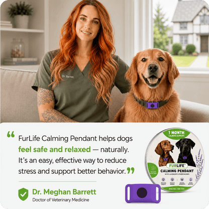 FurLife™ 1 Month Calm & Comfort Pendant