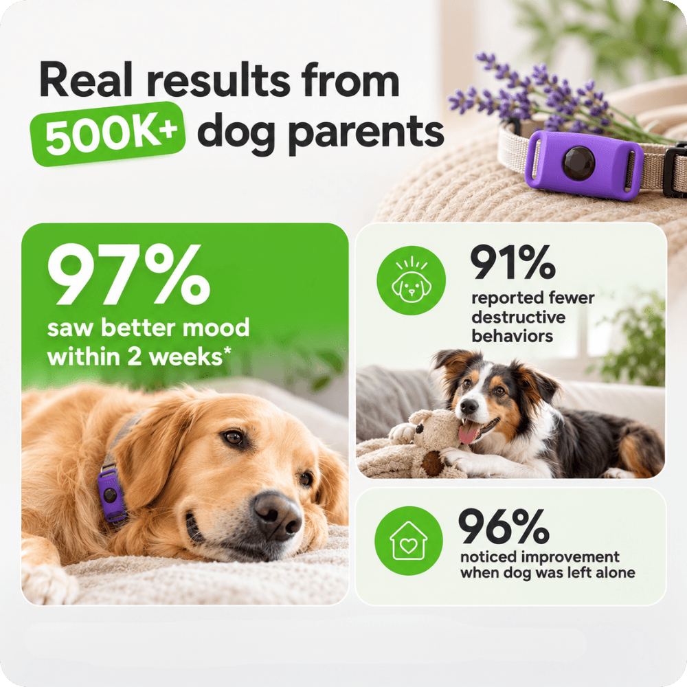FurLife™ Calm & Comfort Dog Pendant