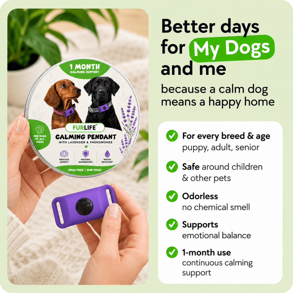 FurLife™ Imprint - Relax and Calming Pheromone Pendant