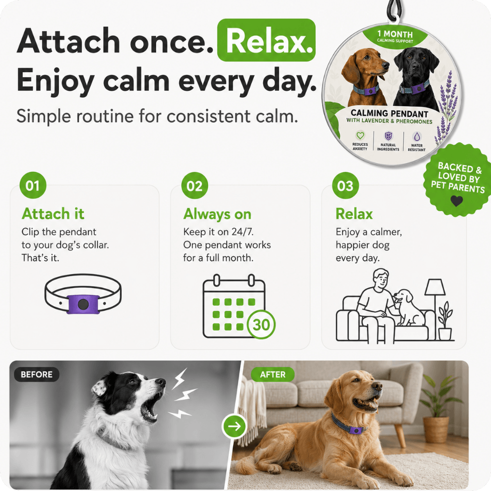 FurLife™ Imprint - Relax and Calming Pheromone Pendant