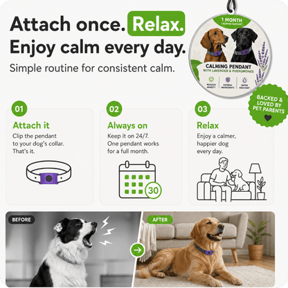 FurLife™ Imprint - Relax and Calming Pheromone Pendant