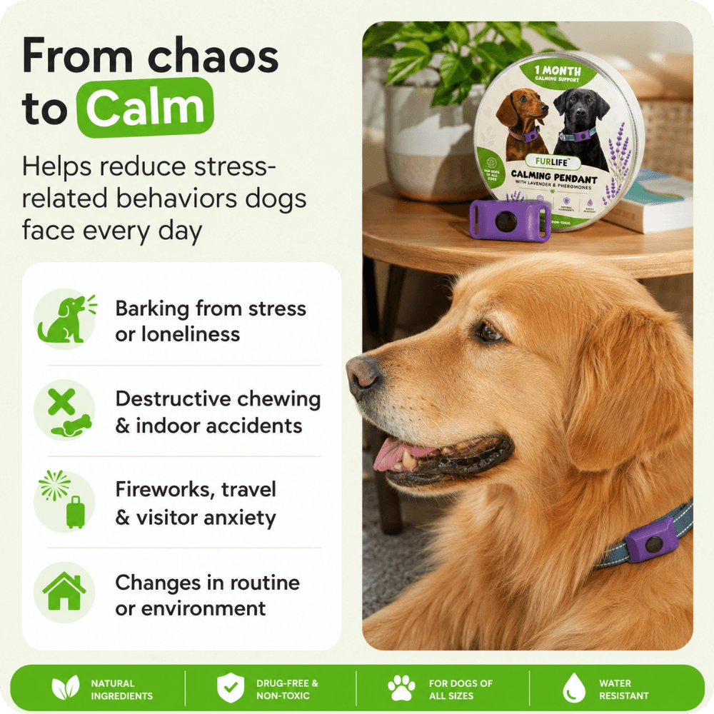FurLife™ Calm & Comfort Dog Pendant