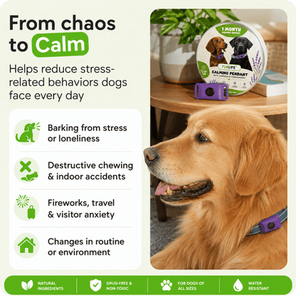 FurLife™ Calm & Comfort Dog Pendant