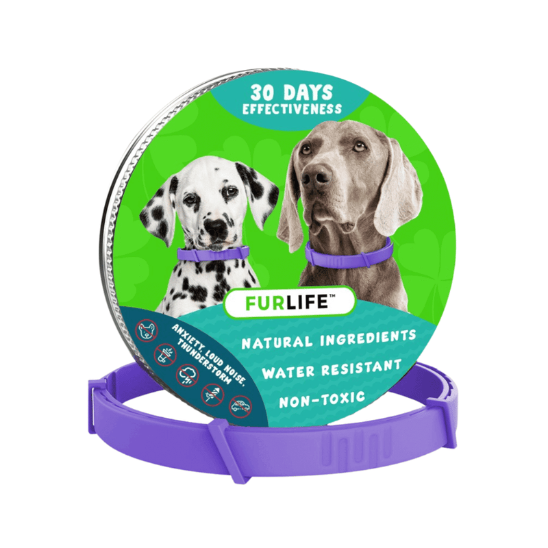 Calming Collar