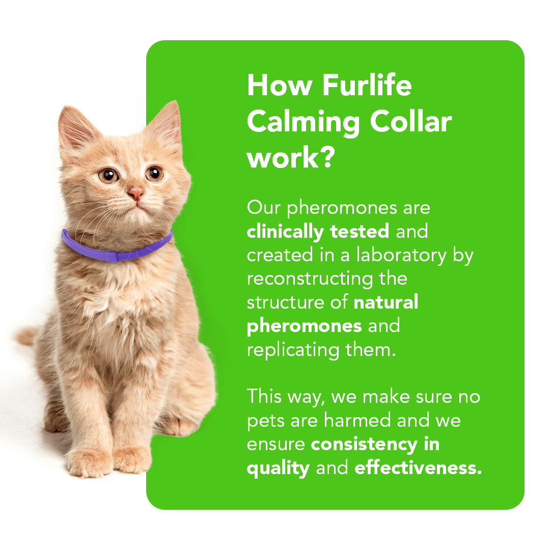 FurLife™ - Natural Pheromone Calming Collar