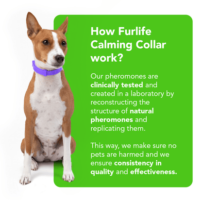 FurLife™ - Natural Pheromone Calming Collar for Dogs