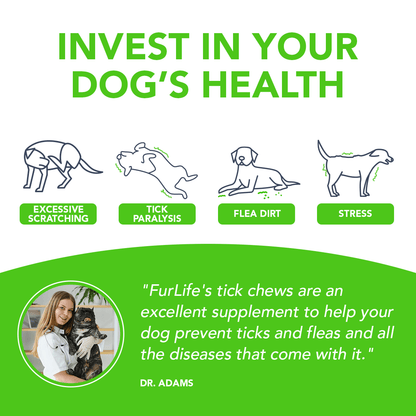 FurLife™ - Flea & Tick Defense Chews