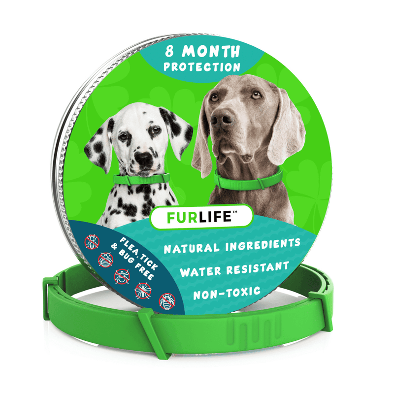 Anti Flea & Tick Collar