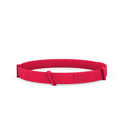 FurLife™ - 8 Months Flea and Tick Free
